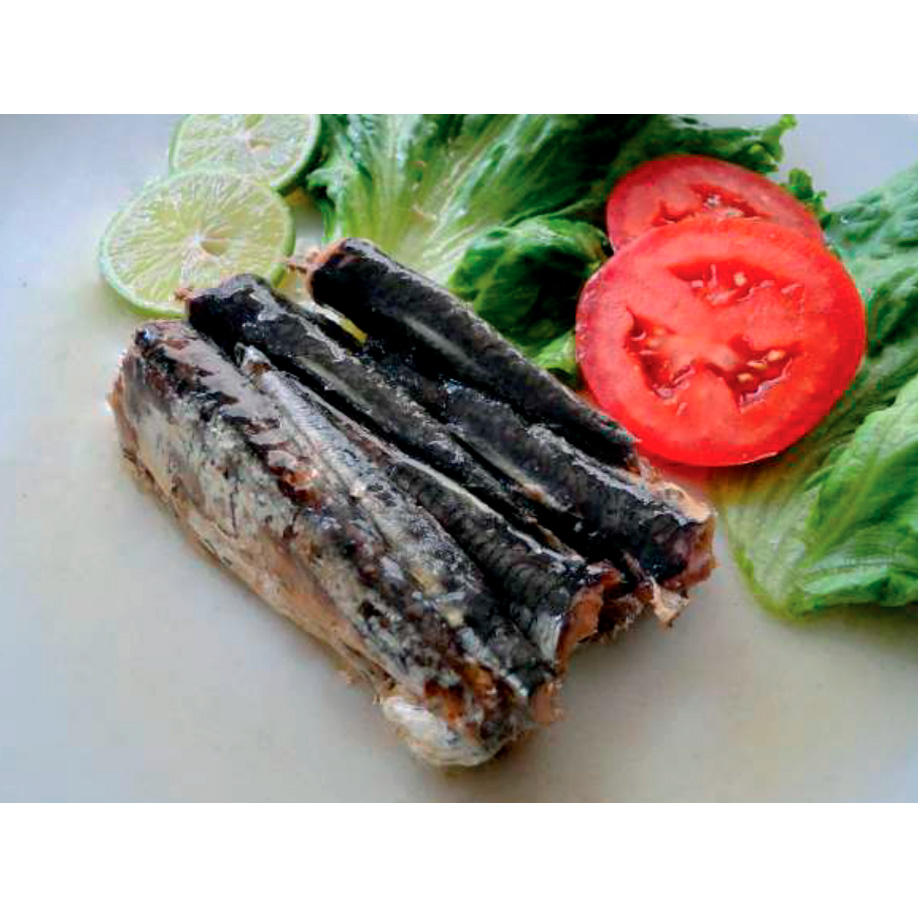 Anchoveta